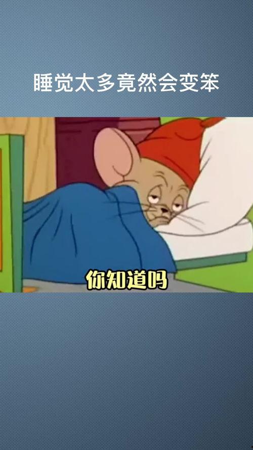 睡觉的笨蛋,深度解析睡眠质量与认知能力的关系