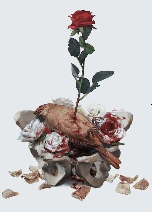 夜莺与玫瑰,浪漫传奇中的爱与奇迹